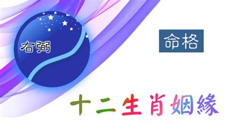 lifedna 紫 微 命盤 免費 分析